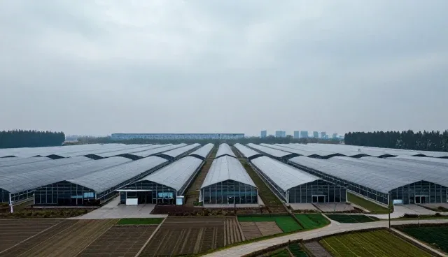 课程研发:地区差异对产品适用条件的影响分析